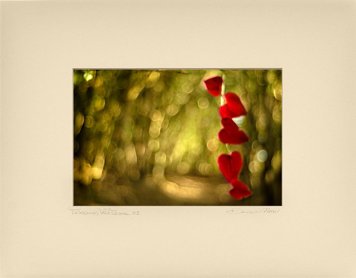 Red Hearts - Duccio Nacci