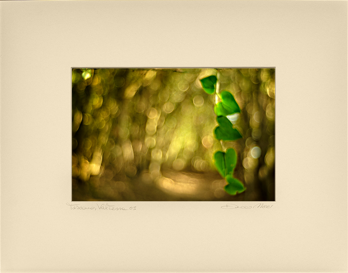 Green Hearts - Duccio Nacci