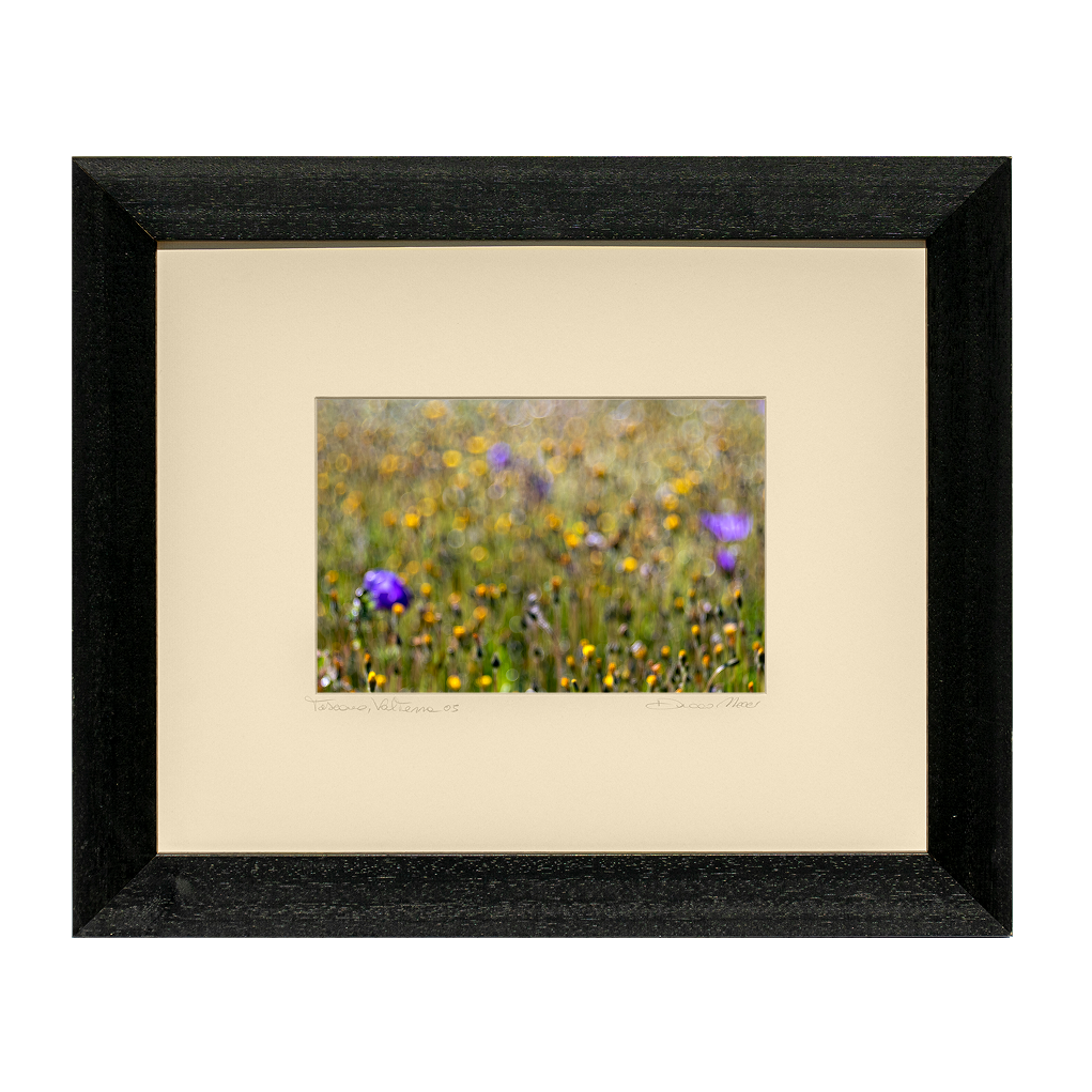 Wildflower Whispers - Duccio Nacci