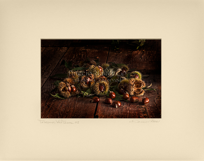 Memory of Chestnut - Duccio Nacci