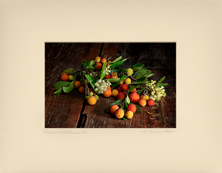 Red oh the Strawberry Tree - Duccio Nacci