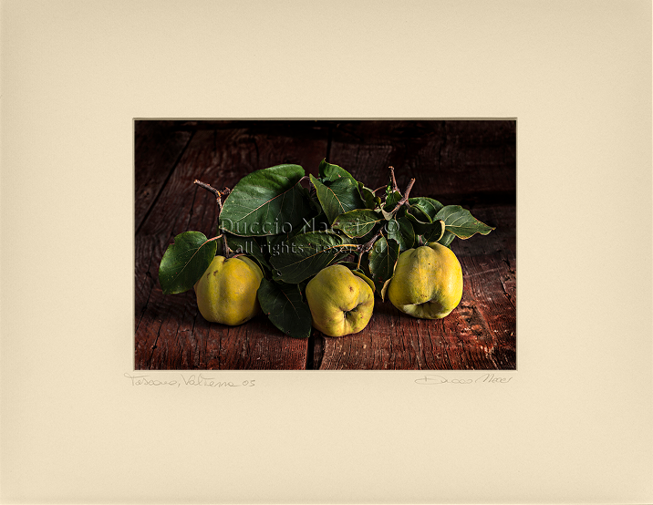 Soul of the Quince - Duccio Nacci