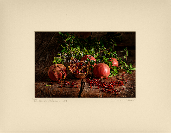 Elegy of the Pomegranate - Duccio Nacci