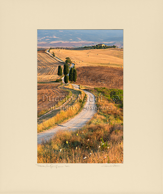Golden Path - Duccio Nacci