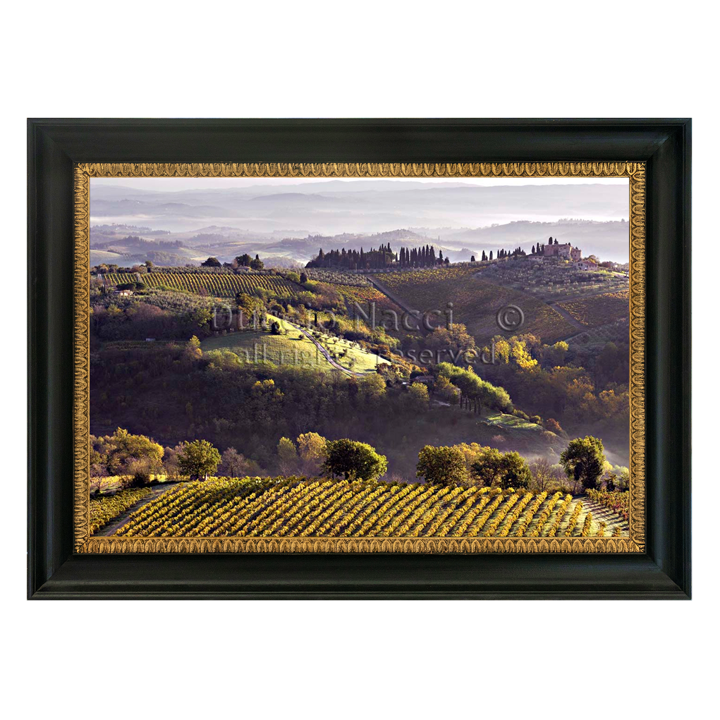 Silent Chianti (Copia) - Duccio Nacci