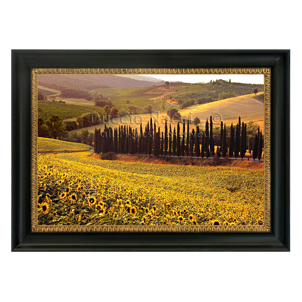 The Sunflowers Chanti (Copia) - Duccio Nacci