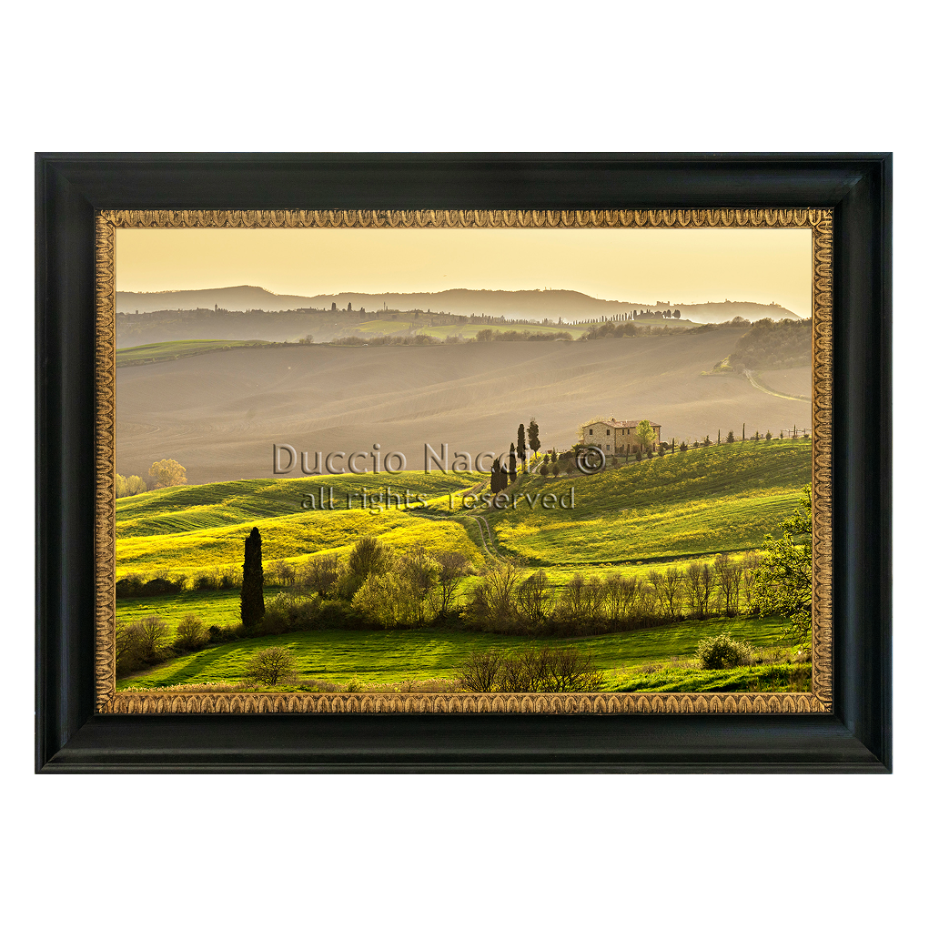 Timeless Countryside - Duccio Nacci