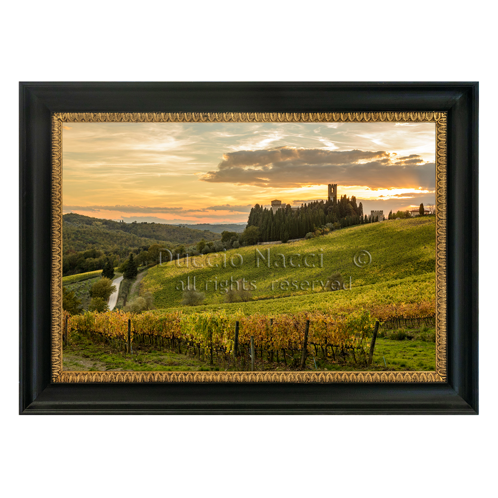 Path of Chianti (Copia) - Duccio Nacci