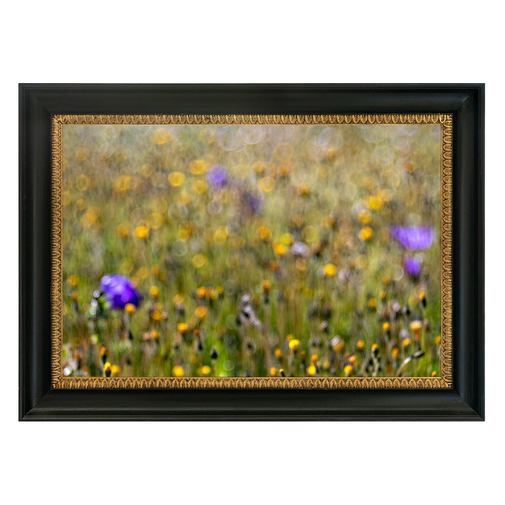 Wildflower Whispers - Duccio Nacci