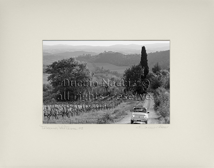Journey through the  Vineyards - Duccio Nacci