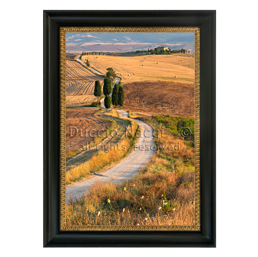 Golden Path - Duccio Nacci