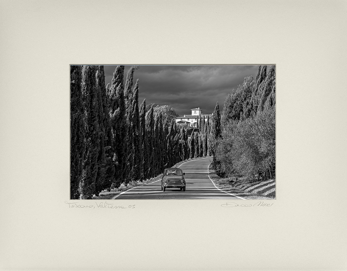 The Cypress Road - Duccio Nacci