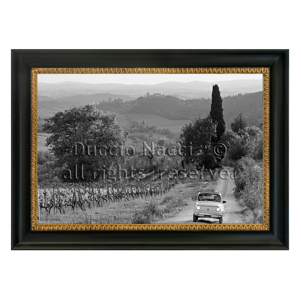 Journey through the  Vineyards - Duccio Nacci