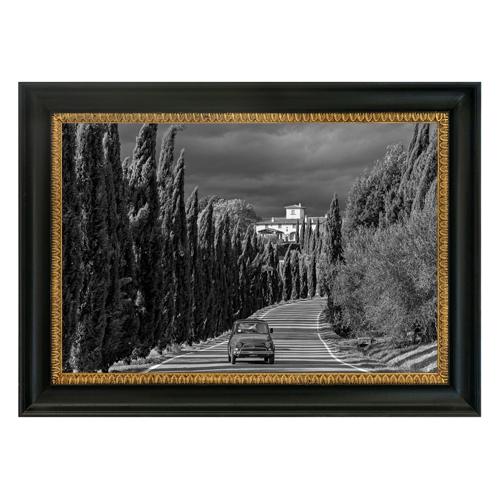 The Cypress Road - Duccio Nacci