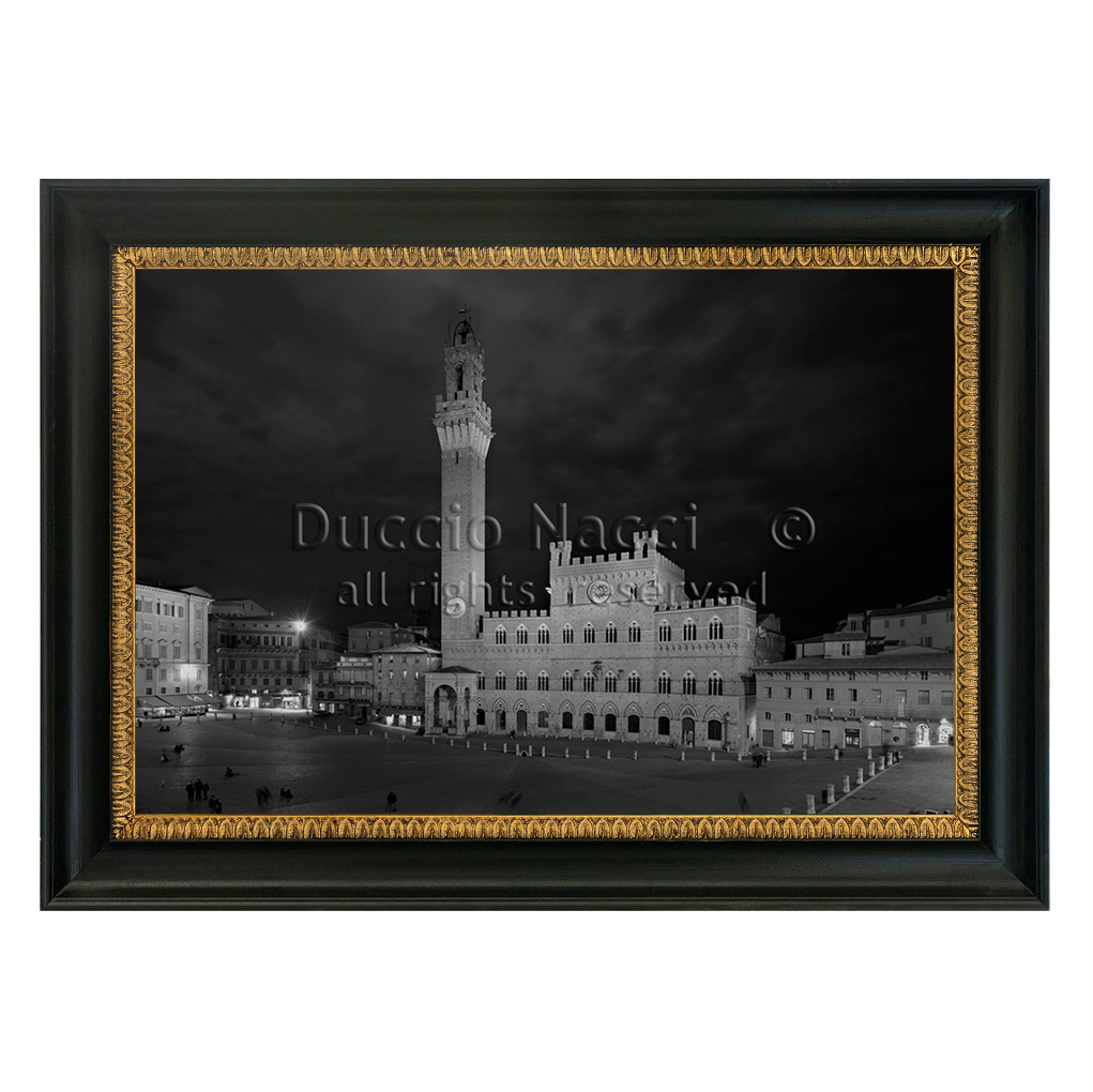 Piazza del Campo - Siena - Duccio Nacci