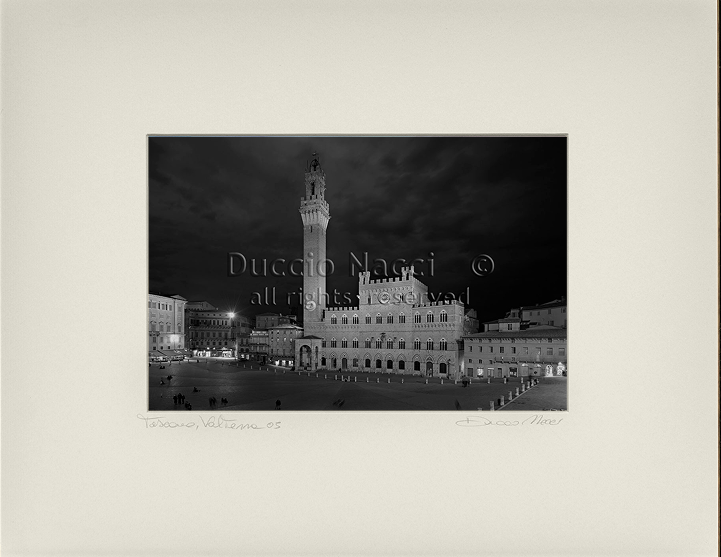 Piazza del Campo - Siena - Duccio Nacci
