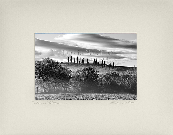 The Hill of Cypresses - Duccio Nacci