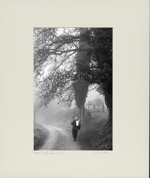 The Wanderer in the Mist - Duccio Nacci