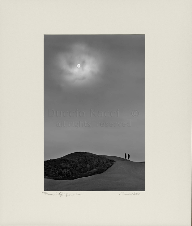 The Moonlight - Duccio Nacci