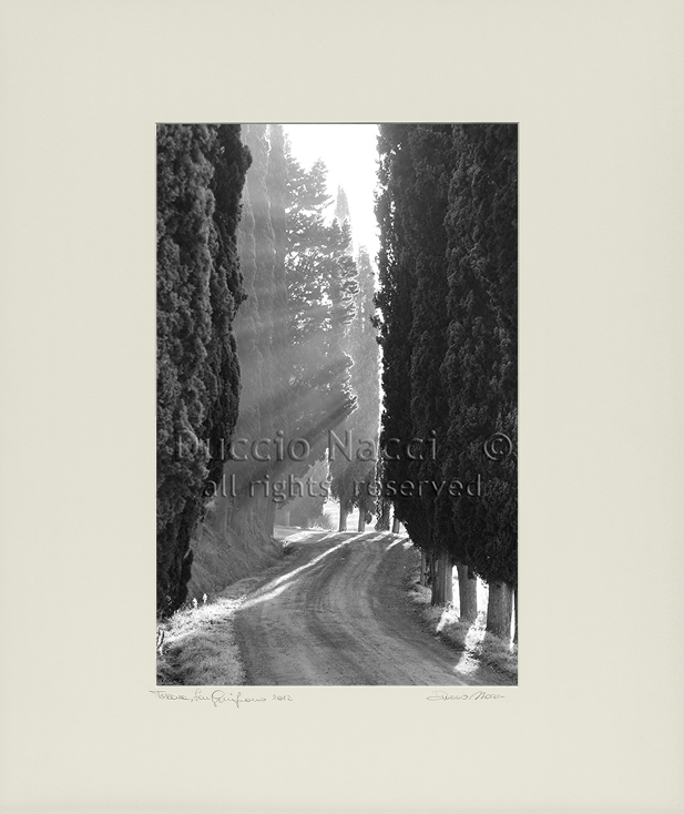 Echo of Lights - Duccio Nacci