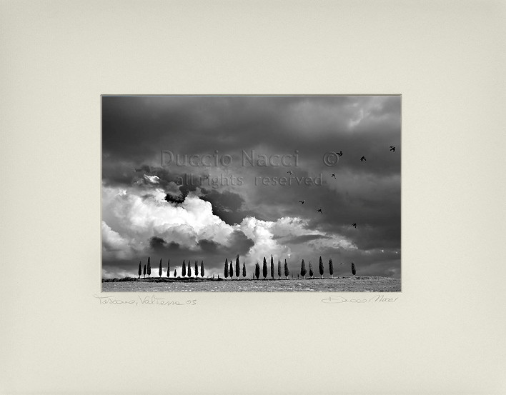 The Chant of the Sky - Duccio Nacci