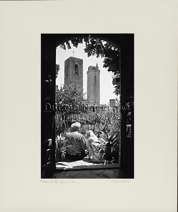 Silent Guardians - Duccio Nacci