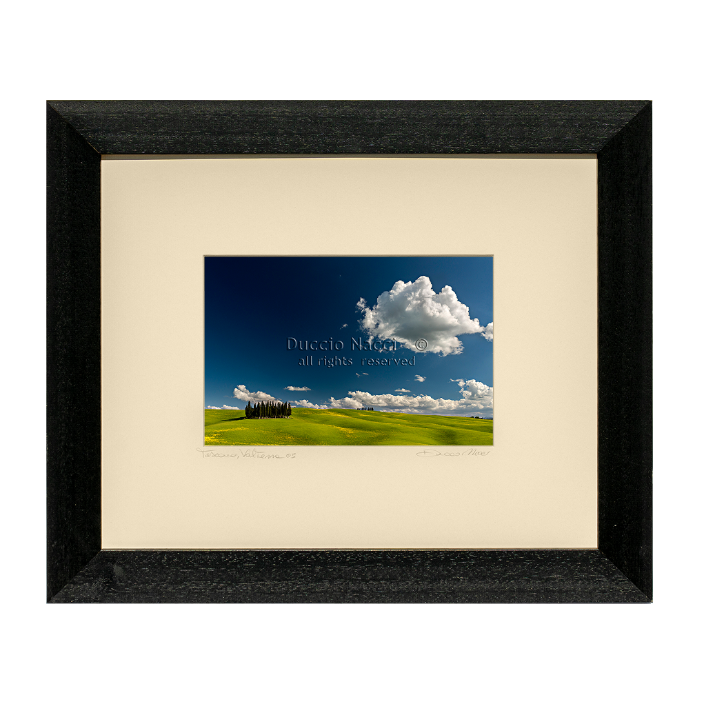 Cypress Island - Duccio Nacci