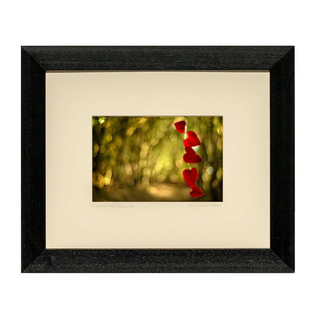 Red Hearts - Duccio Nacci