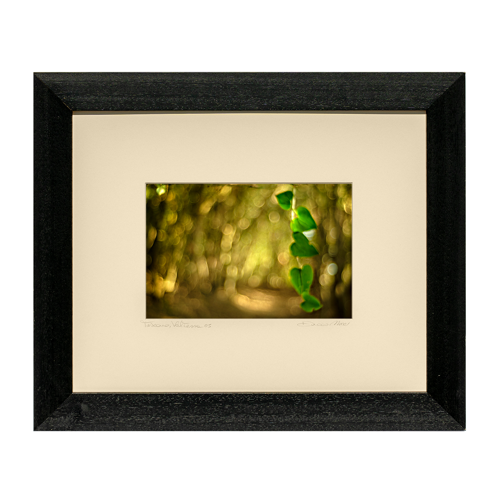 Green Hearts - Duccio Nacci