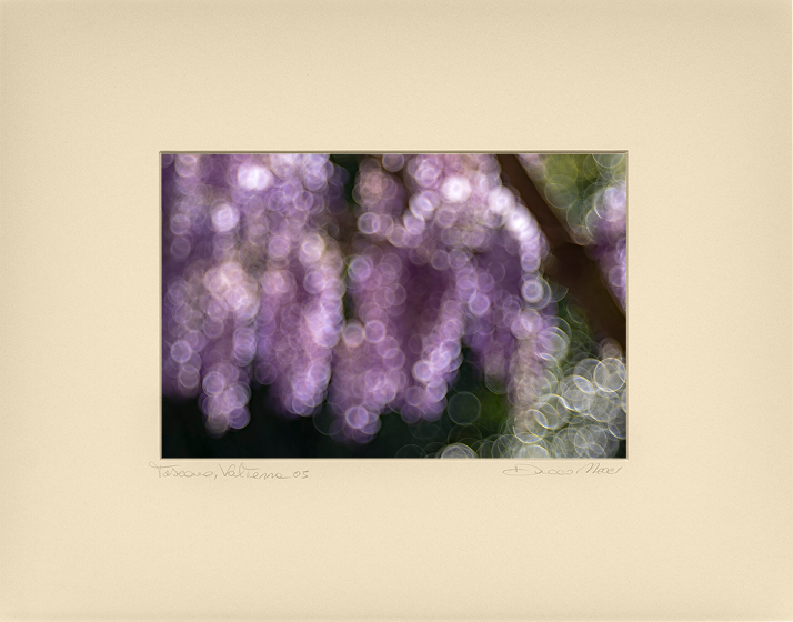 Violet Reverie - Duccio Nacci