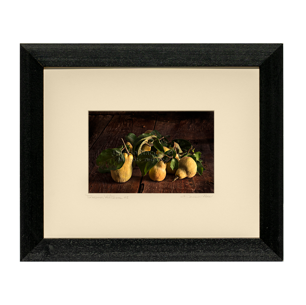 Time of the Quince - Duccio Nacci