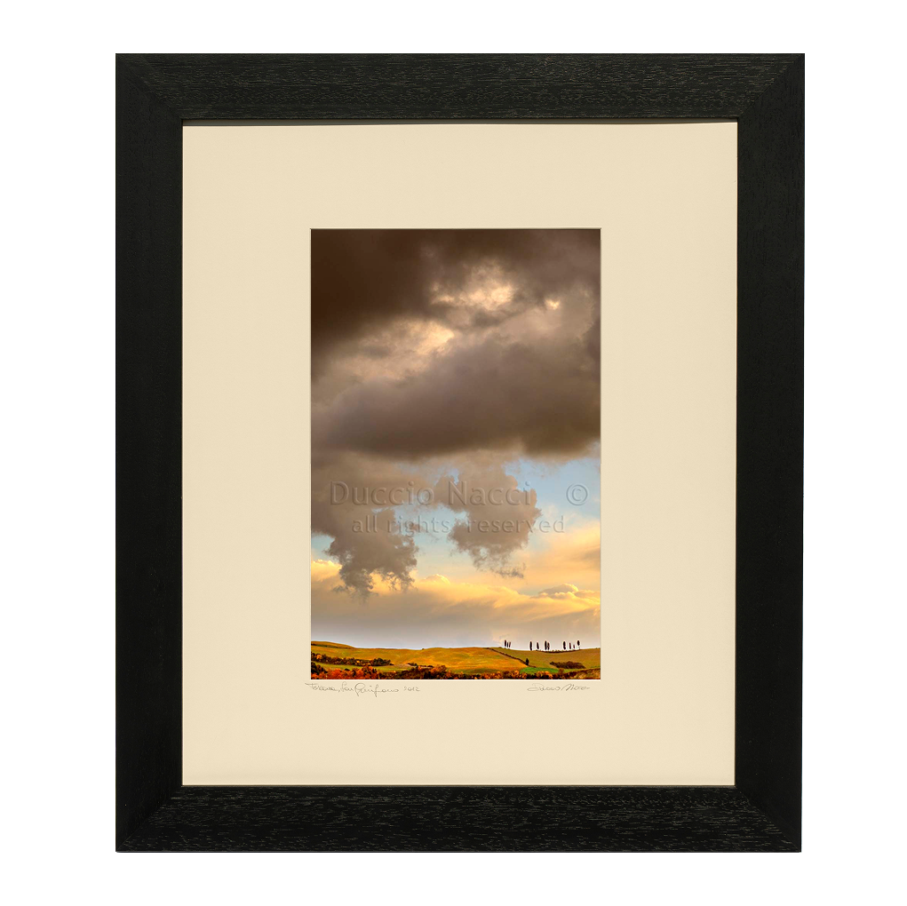 Golden Hills - Duccio Nacci