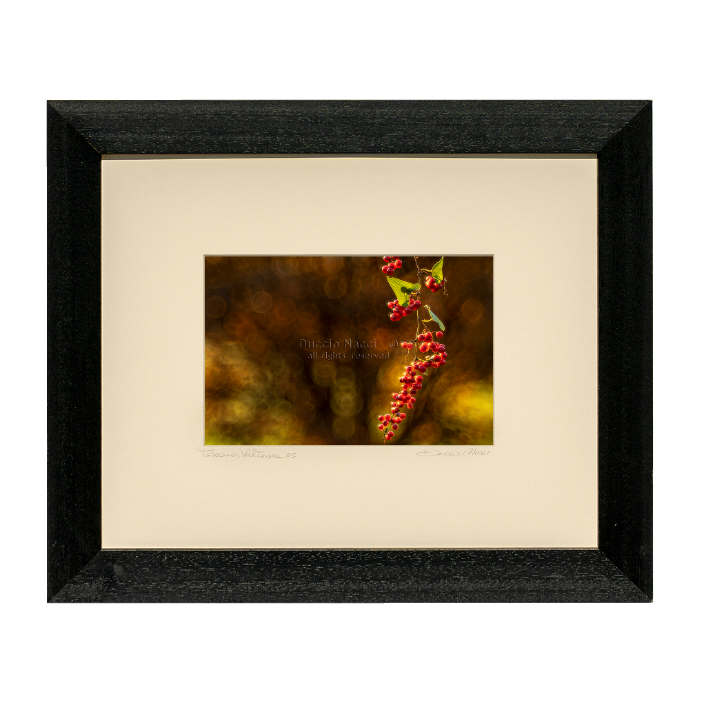Fiery Red Berries - Duccio Nacci