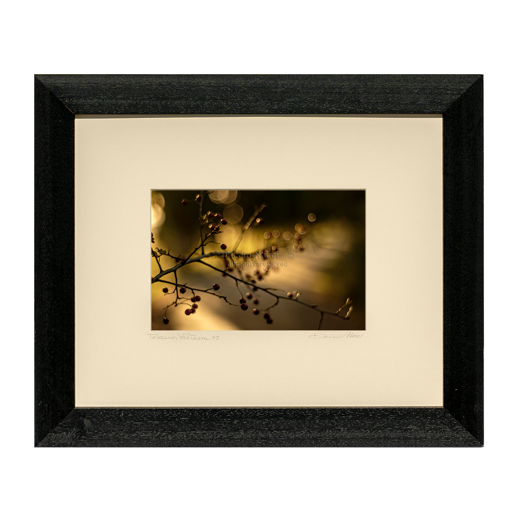 Red Berries - Duccio Nacci