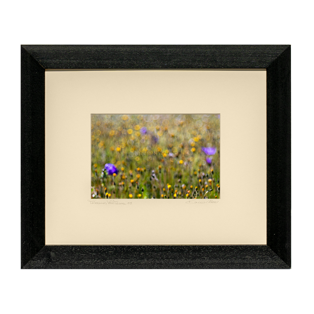 Wildflower Whispers - Duccio Nacci