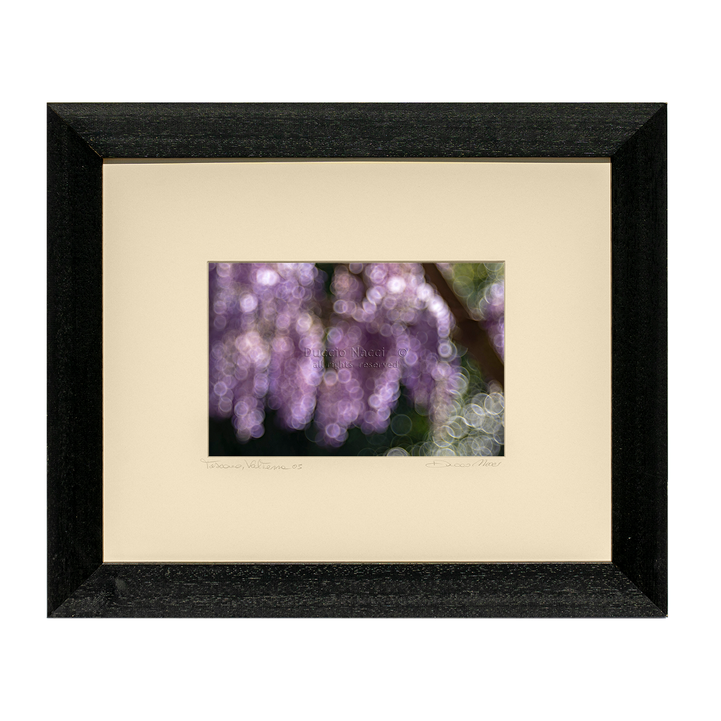 Violet Reverie - Duccio Nacci