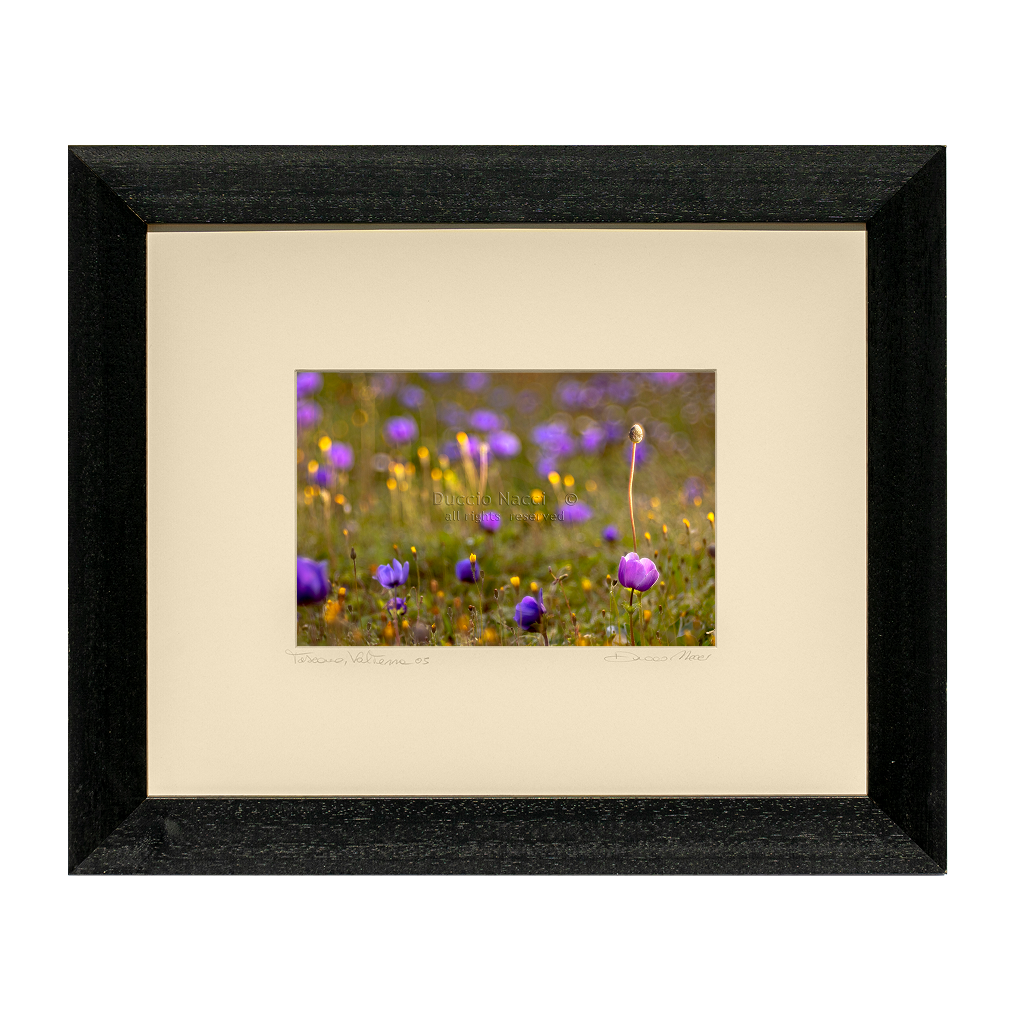 Purple Reverie - Duccio Nacci