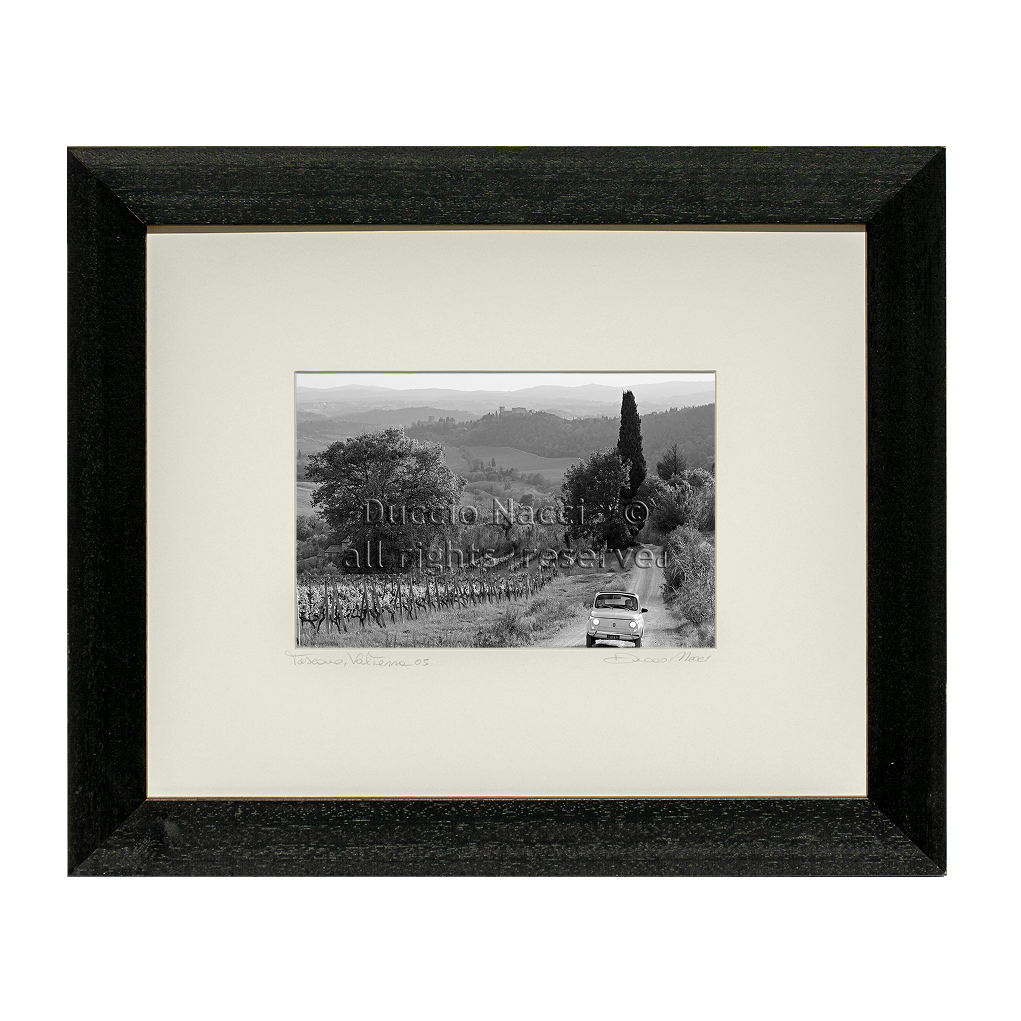 Journey through the  Vineyards - Duccio Nacci