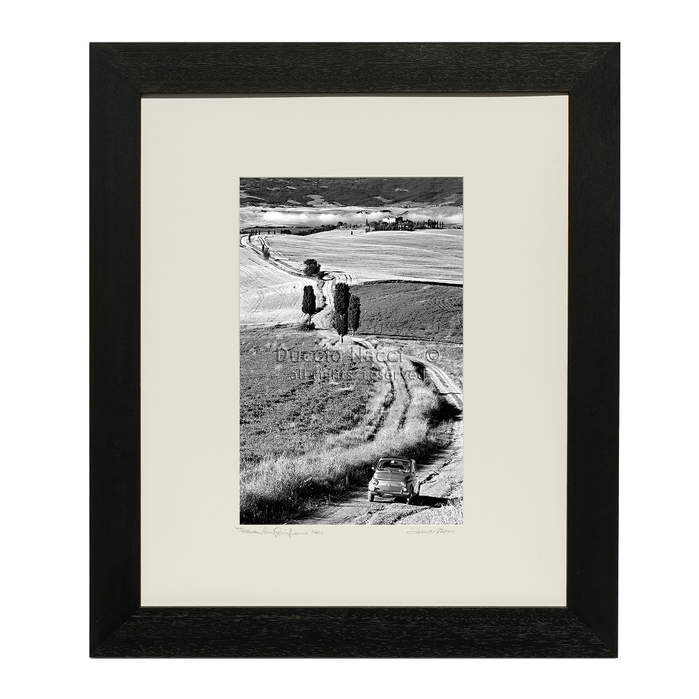 Tuscan Countryside - Duccio Nacci