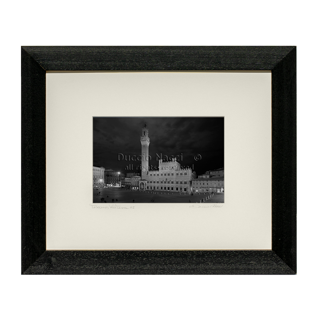 Piazza del Campo - Siena - Duccio Nacci