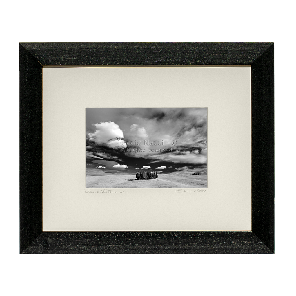 Cathedral of Cypress - Orizontal - Duccio Nacci