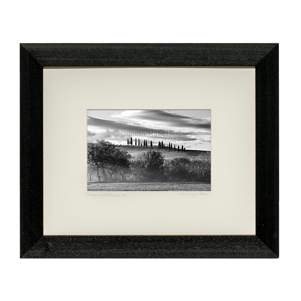 The Hill of Cypresses - Duccio Nacci