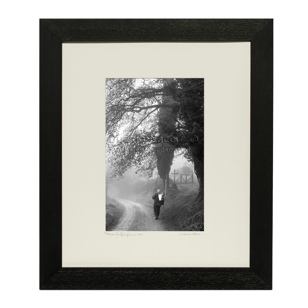 The Wanderer in the Mist - Duccio Nacci