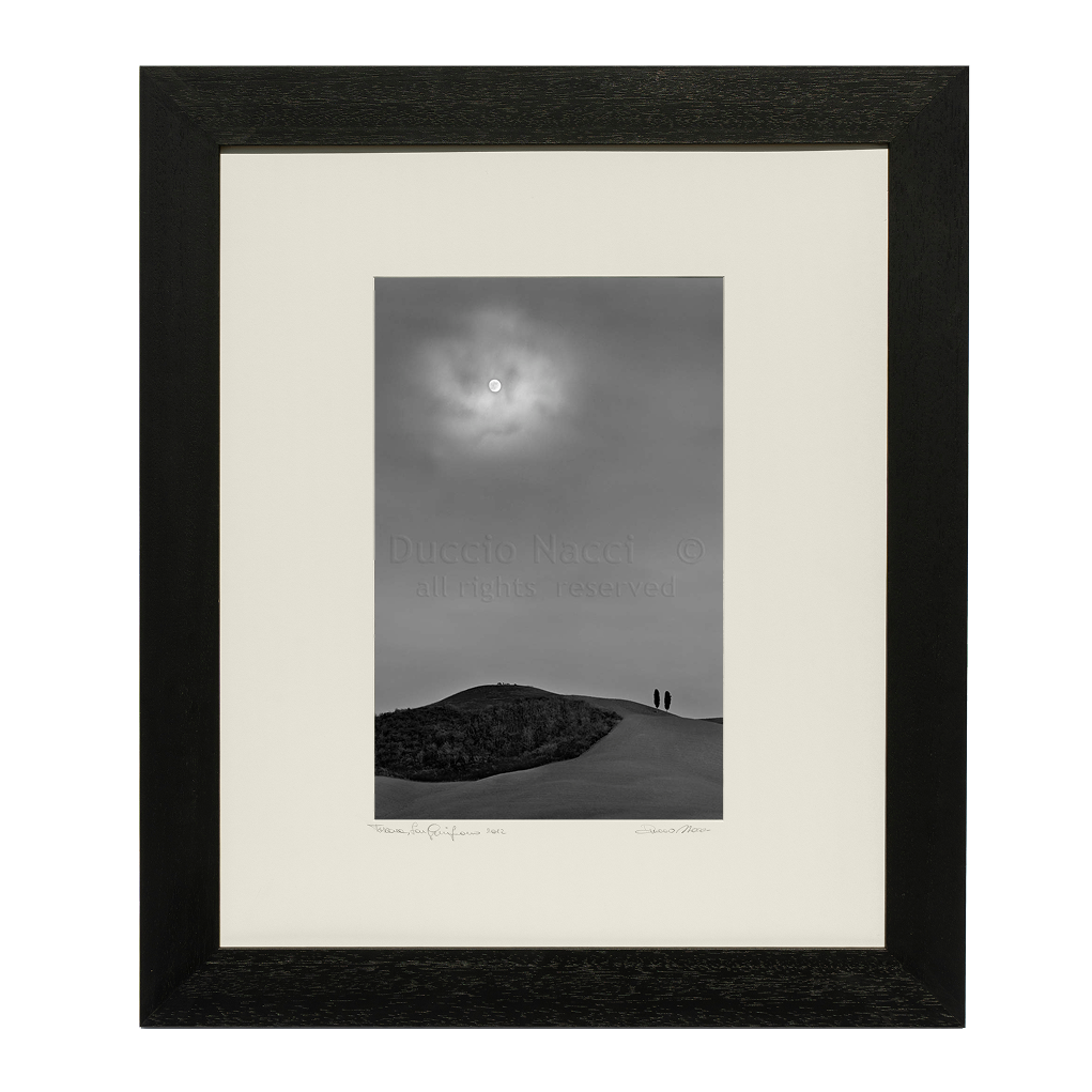 The Moonlight - Duccio Nacci