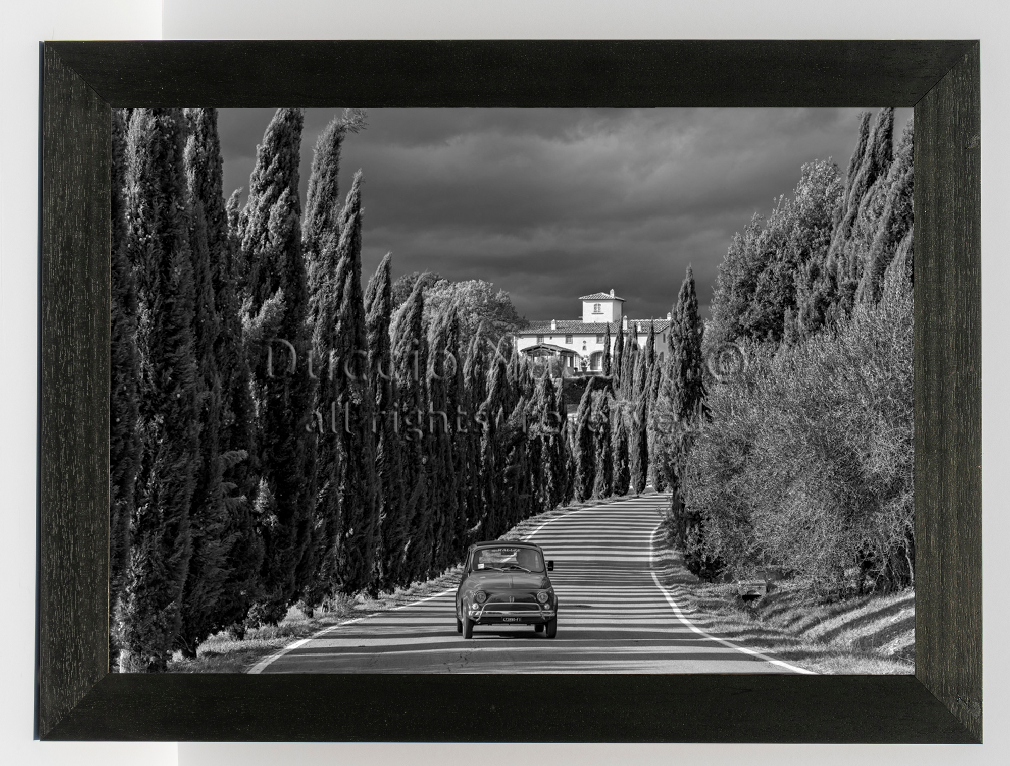 The Cypress Road - Duccio Nacci