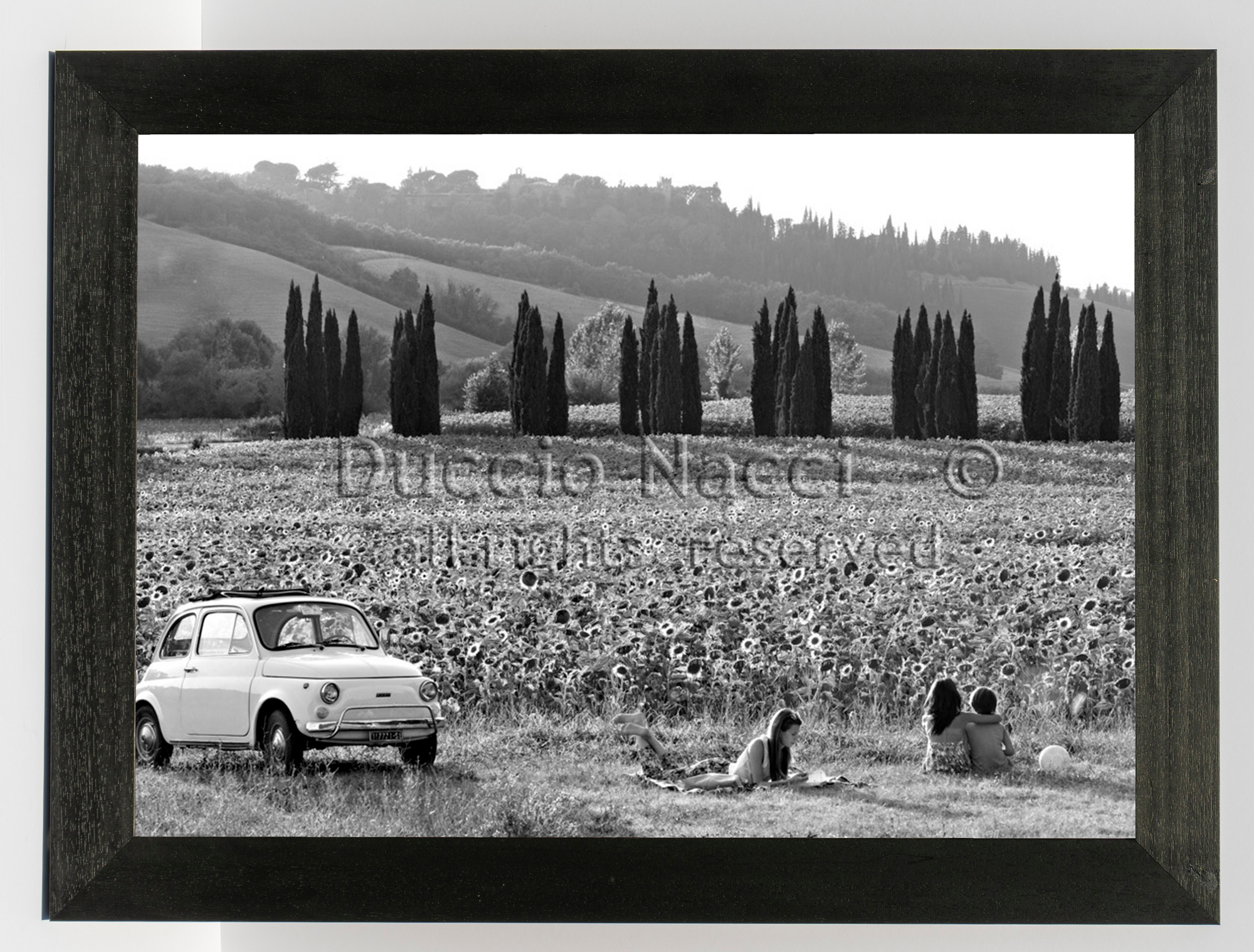 The Road of Sunflowers - Duccio Nacci