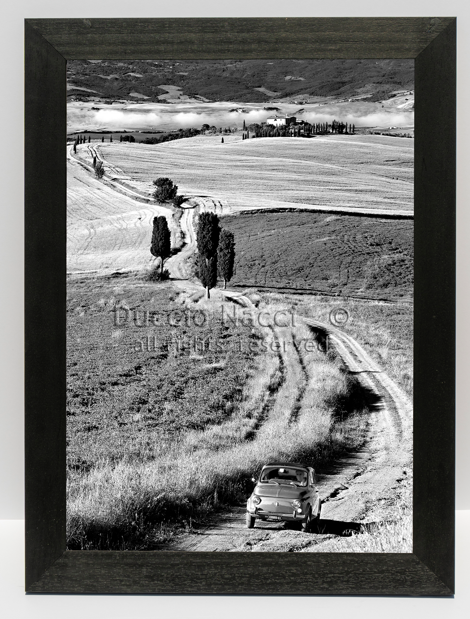 Tuscan Countryside - Duccio Nacci