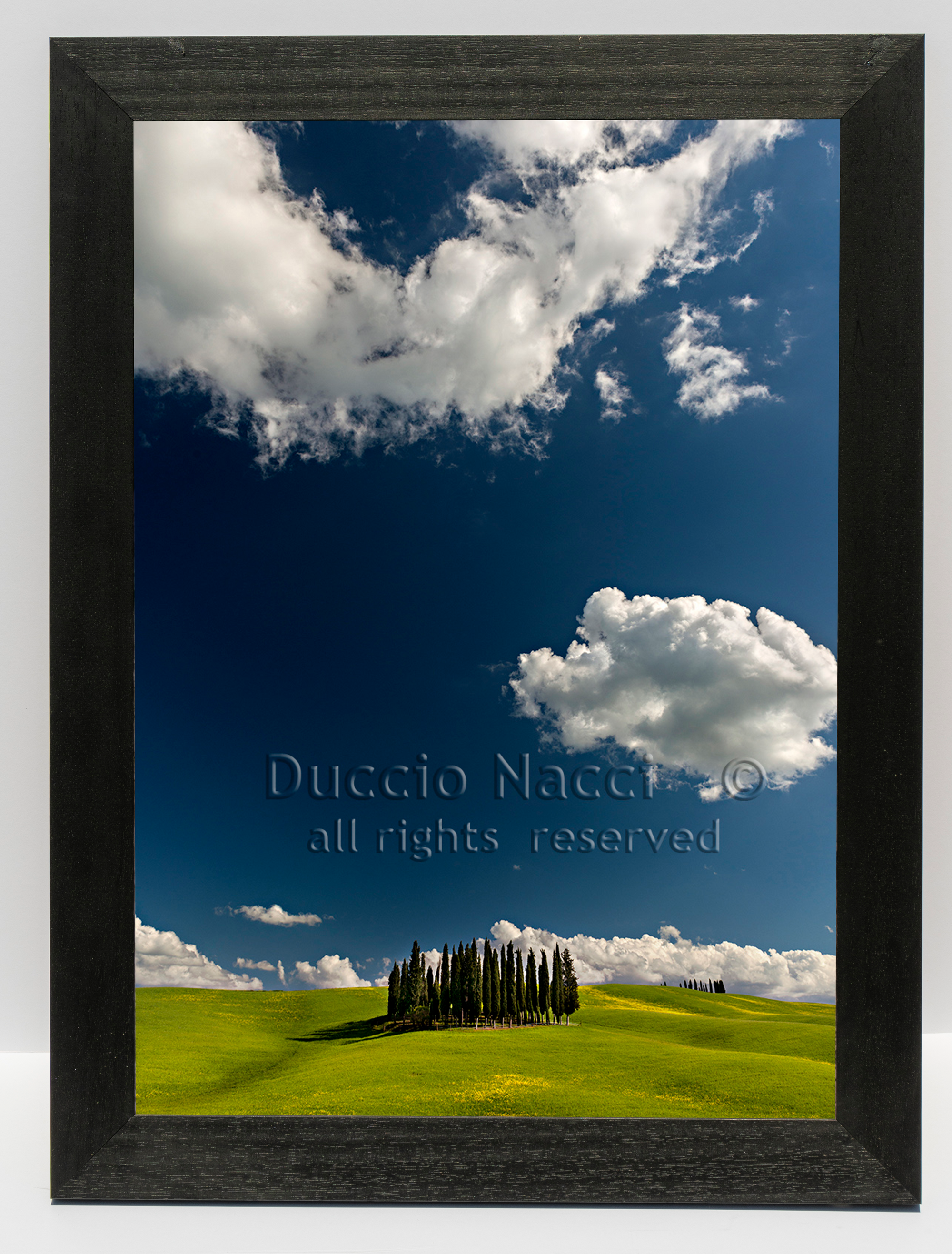 Cypress Island - Vertical - Duccio Nacci