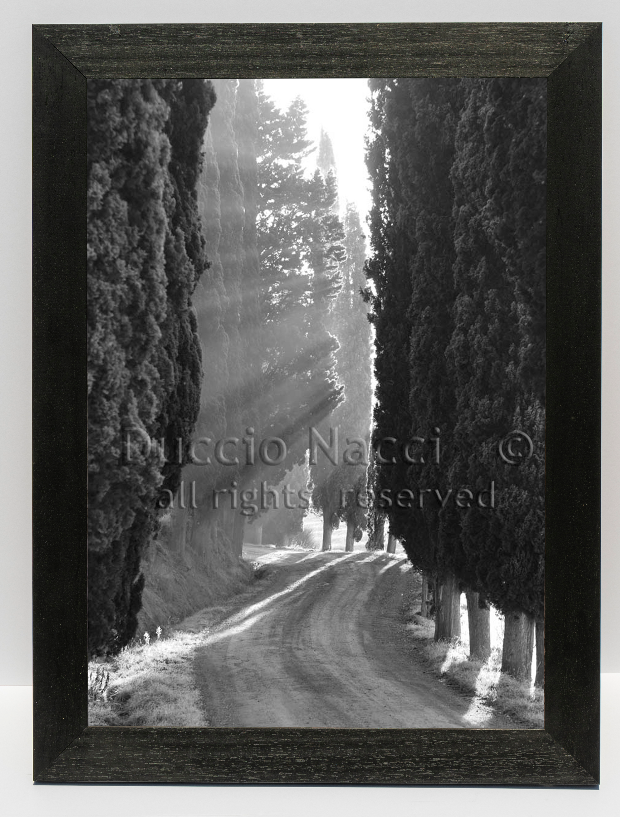 Echo of Lights - Duccio Nacci