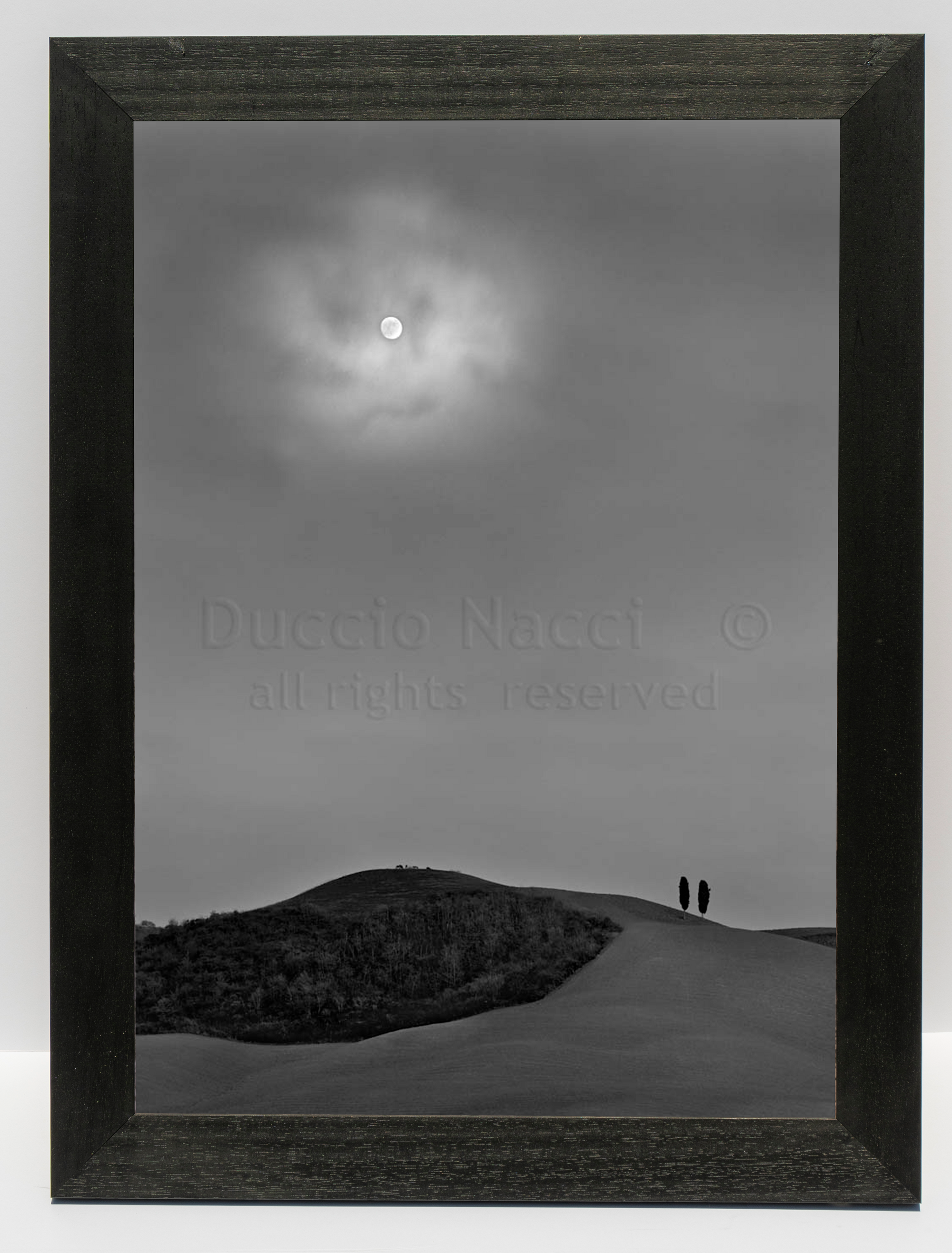 The Moonlight - Duccio Nacci